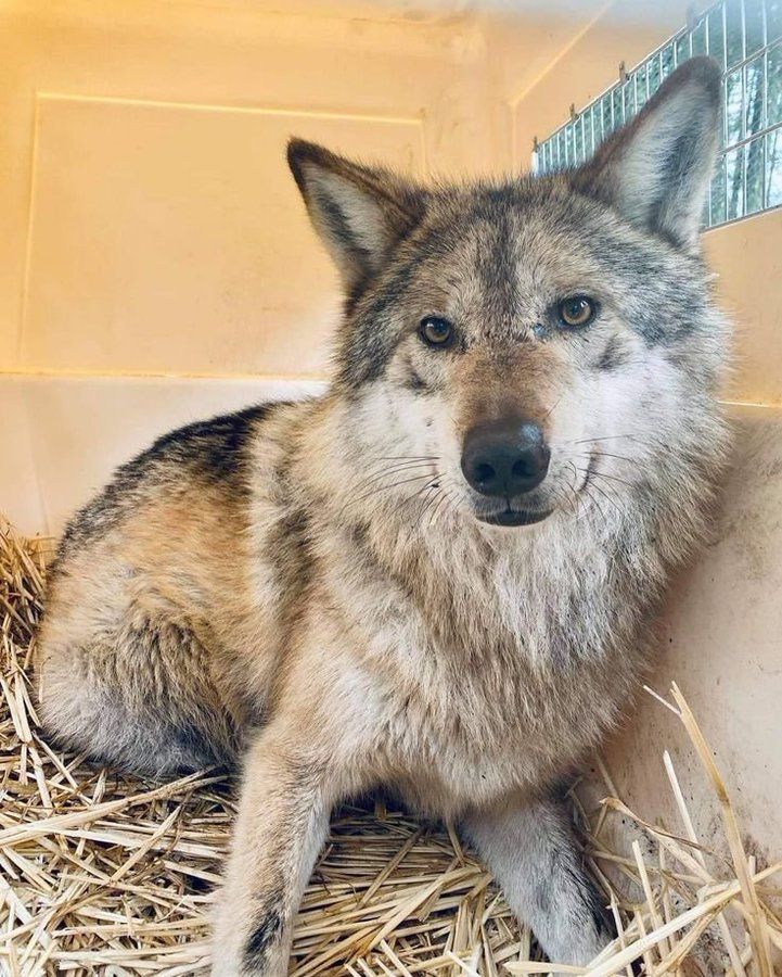 JimmyBelvins's tweet image. I’m not stuck in here with you, you’re stuck in here with me