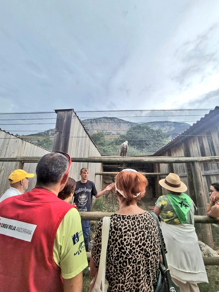 🦉 Dissabte vam visitar el Zoo dels Pirineus amb les persones usuàries del TAD! 🦊

🦅 Vam gaudir d’una exhibició d’aus rapinyaires i vam conèixer mamífers com la gineta i la fura. 🦦

❤️ Gràcies als/les voluntaris/es i al personal del zoo per fer-ho possible!