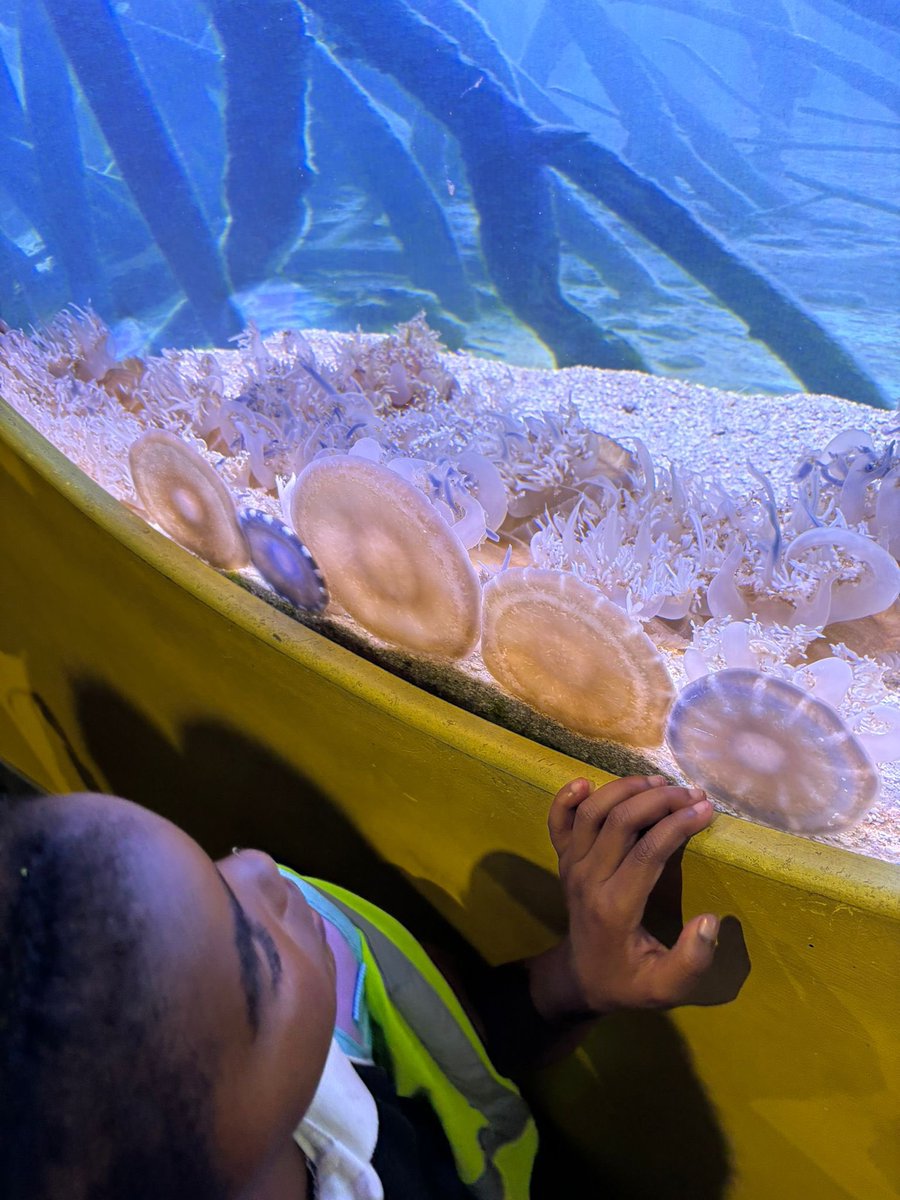 RiverleyPrimary's tweet image. Reception children had a wonderful time at London Zoo. From penguins to giraffes, they explored, discovered and learnt so much about animals and their habitats. #ProudTraditions #LondonZoo #WideHorizons