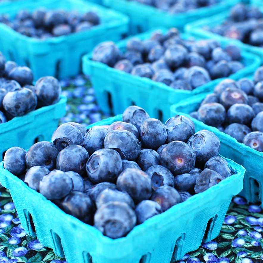 Congrats Zimbabwe: Now Africa's leading blueberry producer. Today is World Blueberry Day. Zimbabwe has an advantage because its blueberries grow earlier in the season, and harvest is shipped earlier to EU and UK. Now China wants high-quality Zim blueberries.