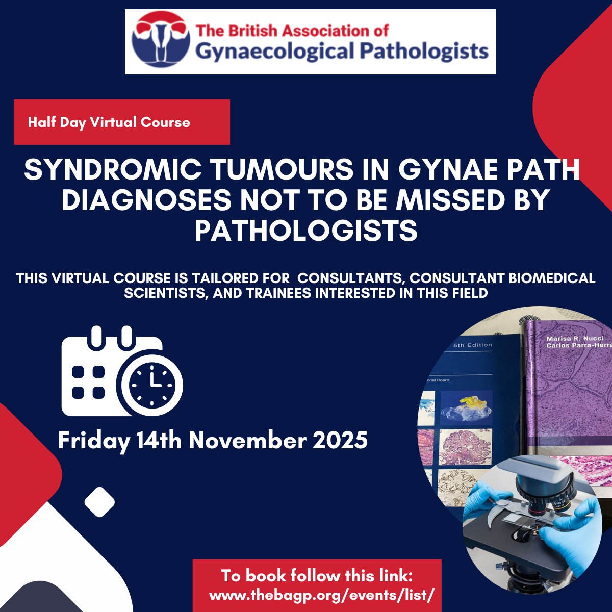 BAGPGynPath's tweet image. Join us for a half day virtual meeting on &quot;Syndromic Tumours in Gynaepath – Diagnoses not to be missed by Pathologists!&quot;  Early bird discounts currently available. 
Link to book: thebagp.org/event/syndromi…