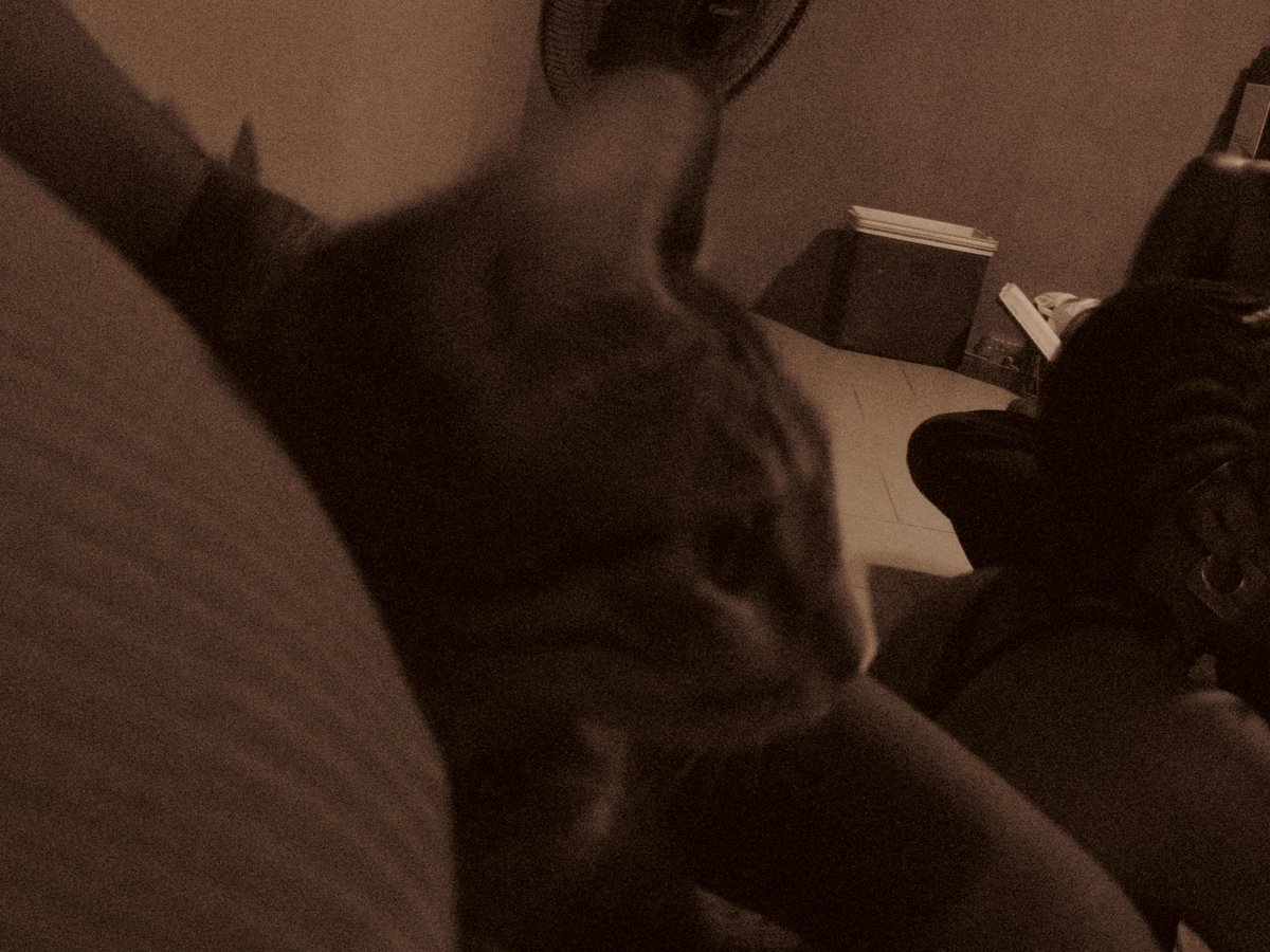 thecorkconclave's tweet image. Scarlet Accord, but make it a slideshow. 🍷
Swipe through the memories, soak in the vibe, and let it sit.
Because July is coming and it’s bringing The Grape Outdoors.

#TheCorkConclave #ScarletAccord #JuneRecap #TheGrapeOutdoors