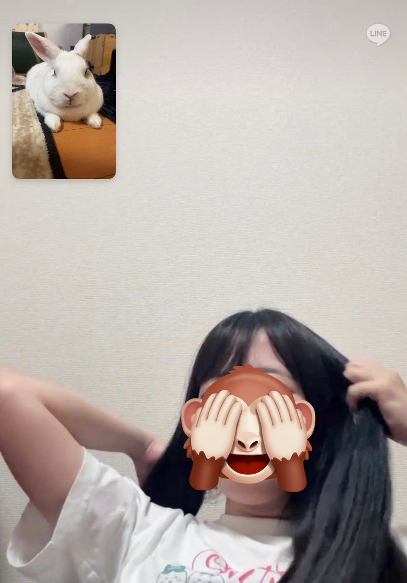 uuchaimoru's tweet photo. 東京のお姉ちゃんとの電話はどうだった？きちんと女子の話を聞く優しいイケメンチャイくん！
耳がきちんと傾いて聞いてるねᕱ⑅ᕱ
夏休み帰るの楽しみだね！

 #うさぎ #イケメンうさぎ #筋肉うさぎ #優しい男子 #ウサギのいる暮らし https://t.co/lhDOLDJcQg