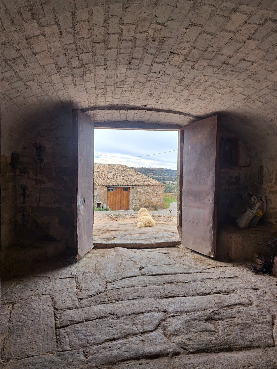 És un escàndol la indefensió que viuen les masies i qui les habita. Conec en Joan i la seva família: vam ajudar-los a trobar masover. Llegir el seu relat de l'incendi de la Segarra m'ha colpit profundament.

vilaweb.cat/noticies/masie…

#MasiesVives #IncendiSegarra