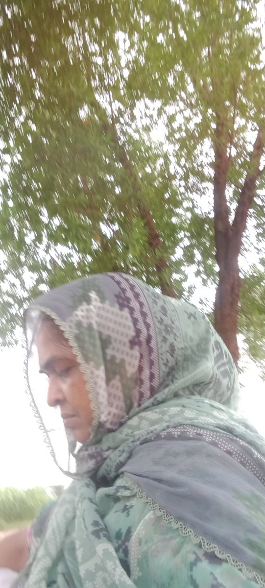 نبیلہ 🌿🕊️ tweet media