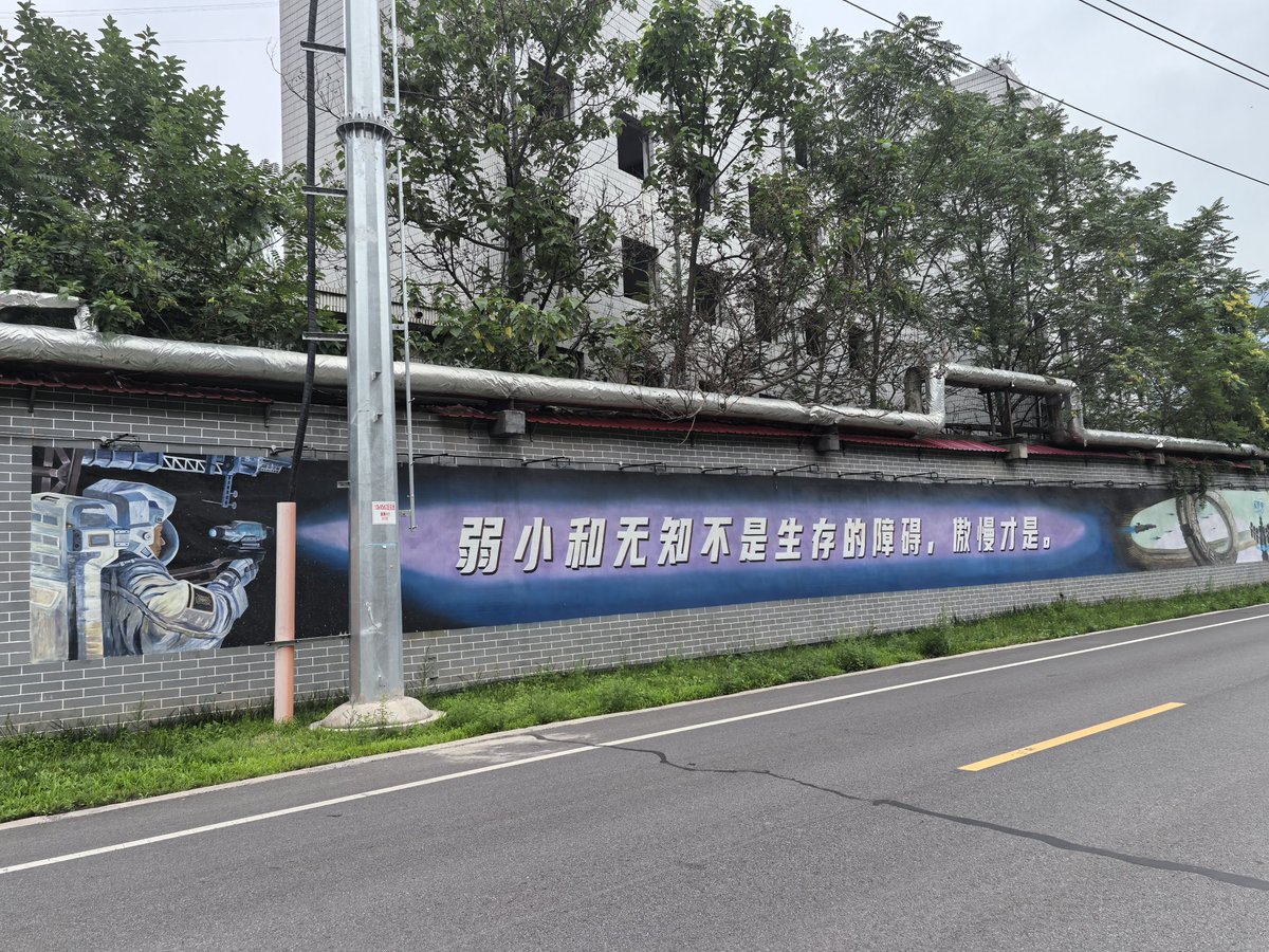 人生在于体验 tweet media