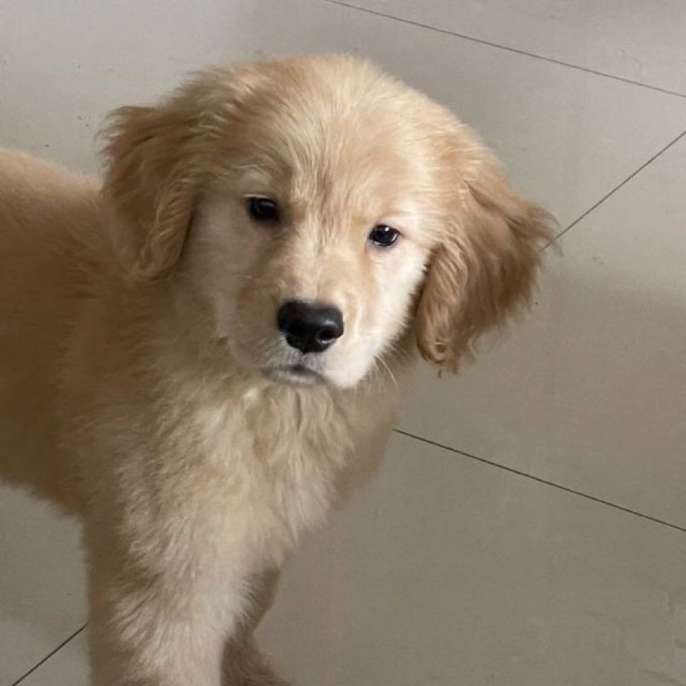 เบบี๋ไปไหน ตุ่นมาไม่เจอ