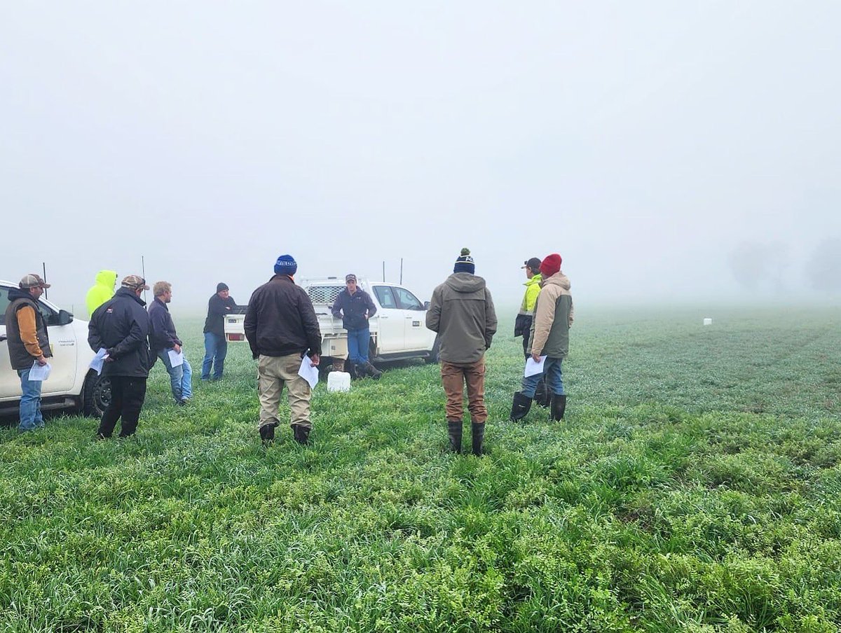 deltaagribus's tweet photo. A foggy start didn’t deter growers at Henty’s Gibberellic Acid Demonstration. Plenty of timely discussions around its benefits in the paddock. 

#DeltaAg #AustralianAgriculture #Agronomy #PaddockTrials https://t.co/wuYjGmfVa6