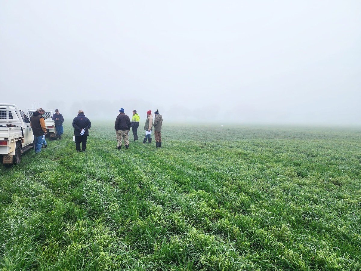 A foggy start didn’t deter growers at Henty’s Gibberellic Acid Demonstration. Plenty of timely discussions around its benefits in the paddock. 

#DeltaAg #AustralianAgriculture #Agronomy #PaddockTrials