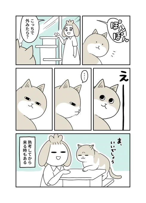 熟考する猫 