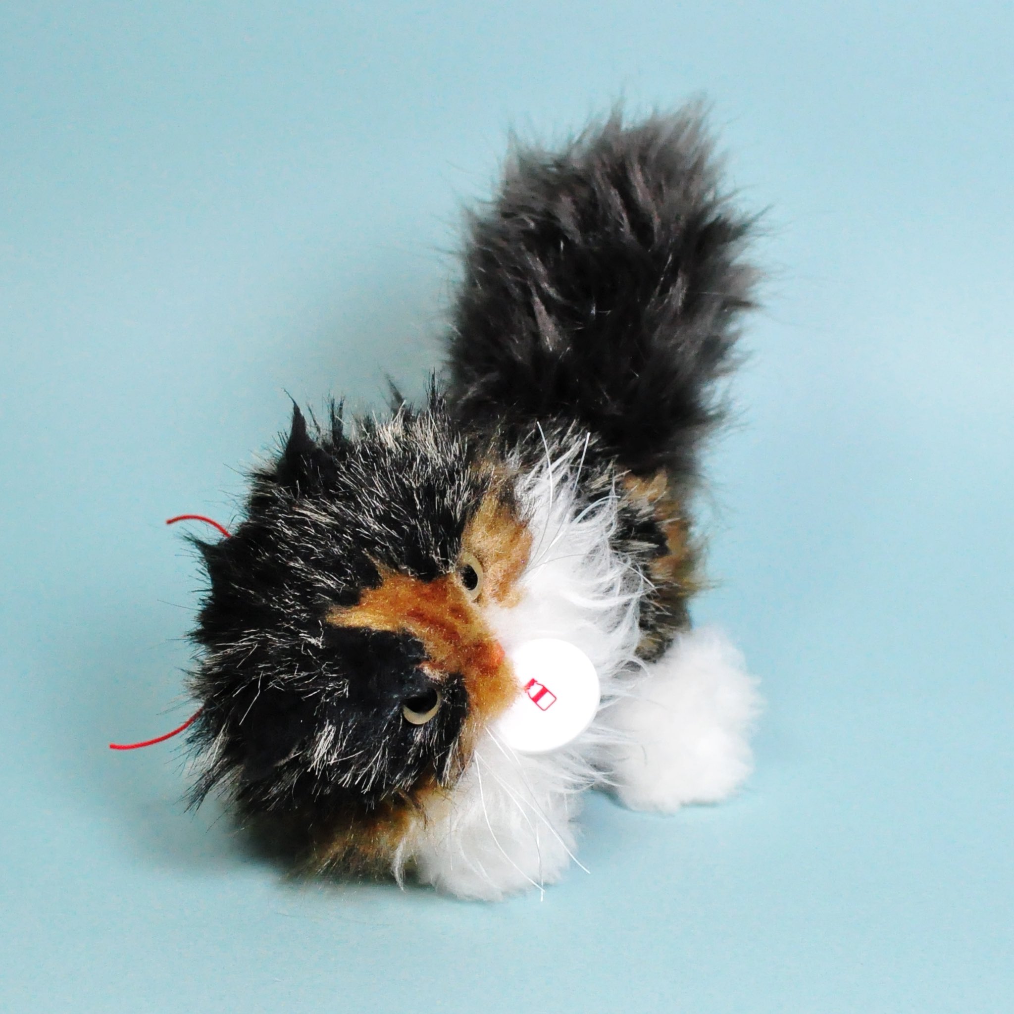 gyunuya 新進気鋭　ぬいぐるみ作家　ギュウニュウヤ　猫 gyunyuya • Instagram photos and videos