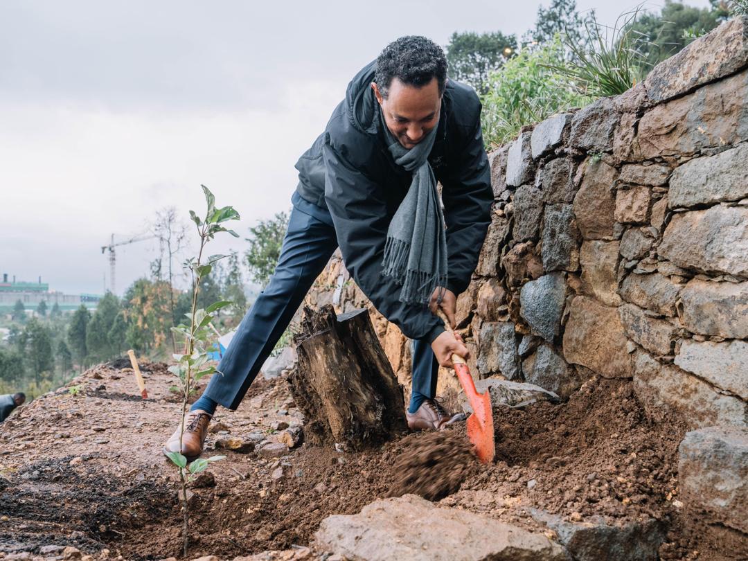 AbiyAhmedAli's tweet image. Renewal through Planting: This morning, we continued our planting initiative alongside staff members of the Office of the Prime Minister.