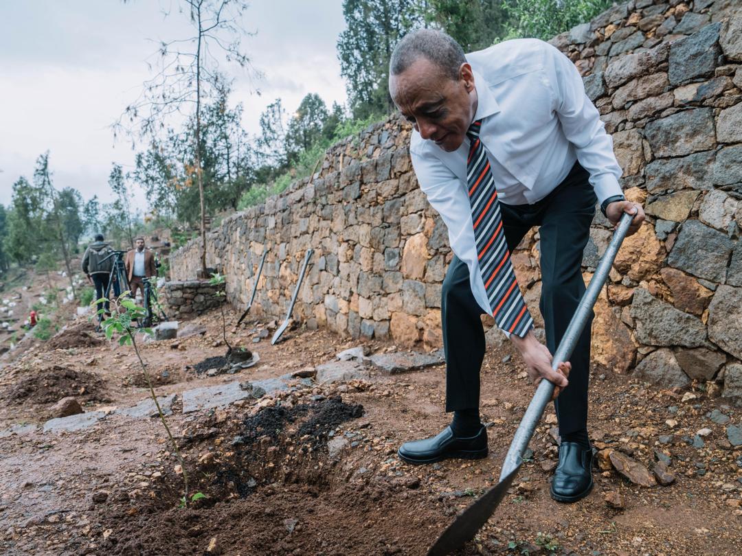 AbiyAhmedAli's tweet image. Renewal through Planting: This morning, we continued our planting initiative alongside staff members of the Office of the Prime Minister.