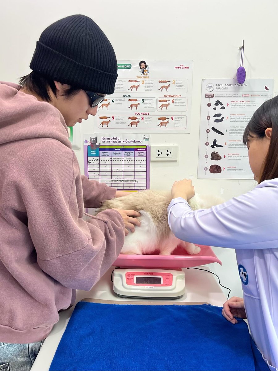 🐱 • mombbrightvc IG Update 250708

วันนี้ปะป๊าพามาตรวจสุขภาพและเสริมสวยค่ะ🤍

#Amemeow
#bbrightvc 
#Thonglorpethospital