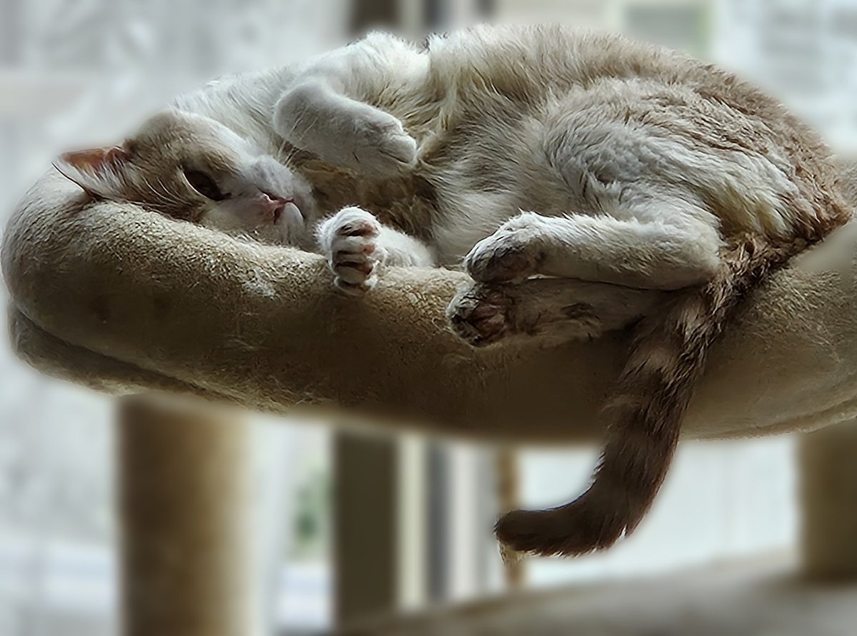 牛歩だけど日々慣れてくれている(ような気はする)