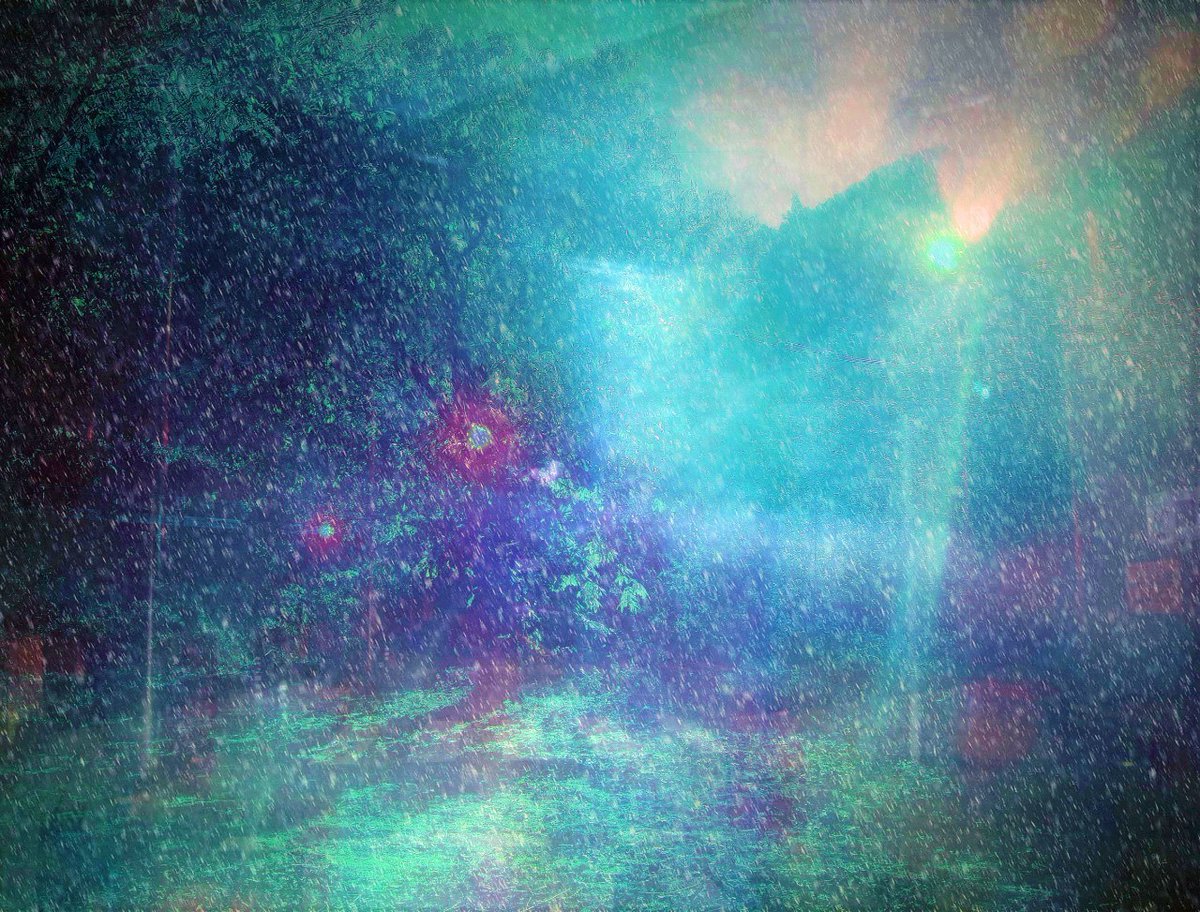bluebluepiika3's tweet image. 魔法の庭 🦄