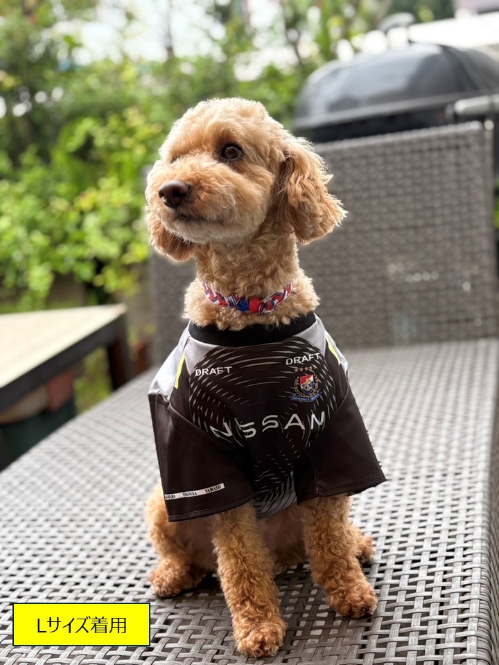 👶 𝔹𝕒𝕓𝕪＆𝔻𝕠𝕘 𝕌ℕ𝕀𝔽𝕆ℝ𝕄 第2弾🐶〜 ／ 📣受注受付中