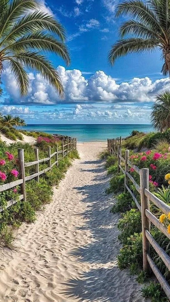 Se não tiver para onde ir corra para o mar.😃