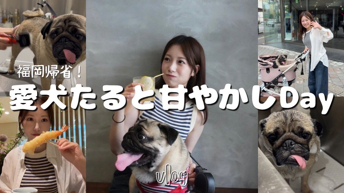 YouTubeアップしました🐶 【Vlog】福岡帰省！愛犬たるとをただただ