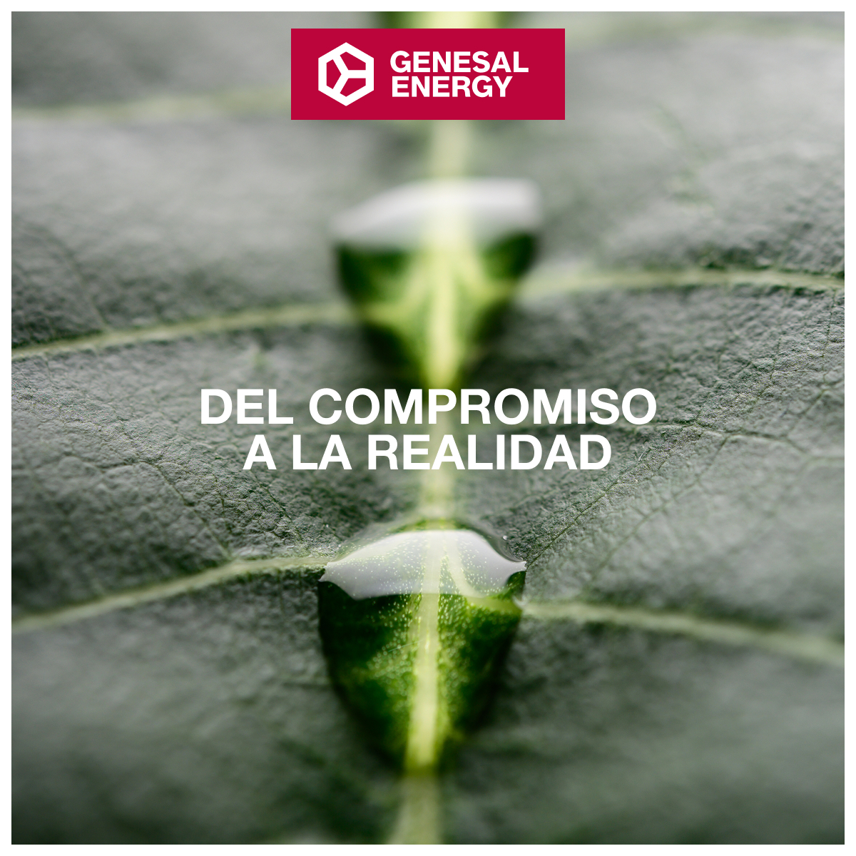 🇪🇸🌱 | Del compromiso a la realidad
En Genesal Energy no hablamos de sostenibilidad, la practicamos, por eso el HVO ya no es una promesa.
👉 Descubre cómo el HVO forma parte de nuestra estrategia para liderar la transición energética desde el presente: genesalenergy.com/comunicacion/a…