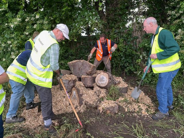 FFishponds's tweet image. All welcome at Fishponds Fields this Weds 9 July at 7:30pm. We’ll be discussing our recent BioBlitz, possible community gardening and how to improve the facilities for sports users. Entrance at 91a Hebdon Rd, Tooting @tootingnewsie #tooting #bioblitz