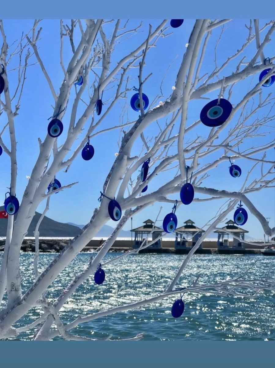 Günaydınn... ✨☀️☀️