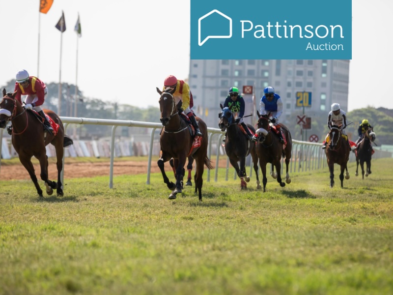 A massive shout of thanks <a href="/PattAuctions/">Pattinson Auctions</a> for the VIP Day at Newcastle Racecourse in a Private Hospitality Box for up to '30 Guests' donation in aid <a href="/Agents_Giving/">Agents Giving</a> Summer Ball Fundraising Champions Award Headline Sponsor Helpthemove Silver <a href="/coadjute/">Coadjute</a> Bronze Lemon and Lime Interiors.