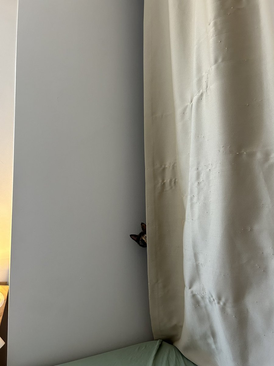 Saklanmıçdım (perde benim eserim)