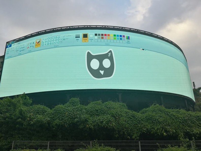 We are looking for a owl.