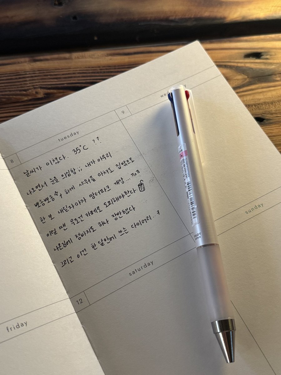 여름은 미쳤다.