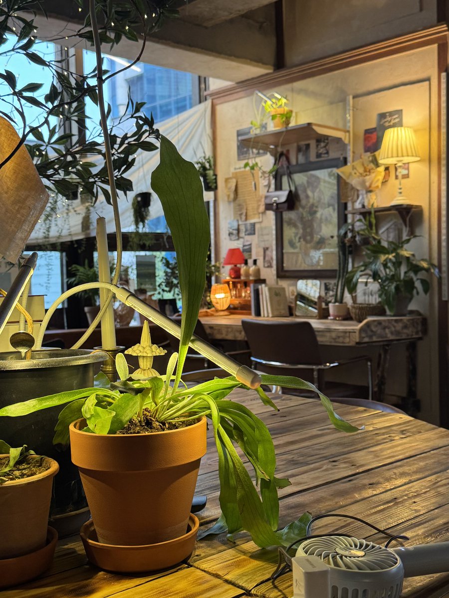 너무 더워서 아아 수혈이 필수가 됨 🫠