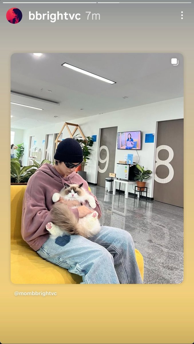 วันนี้ป๊ะป๊าไบร์ทพาลูกสาวไปหาหมอเองเลยน้า

IGs : bbrightvc

Bright Vachirawit
#bbrightvc <a href="/bbrightvc/">bright</a>