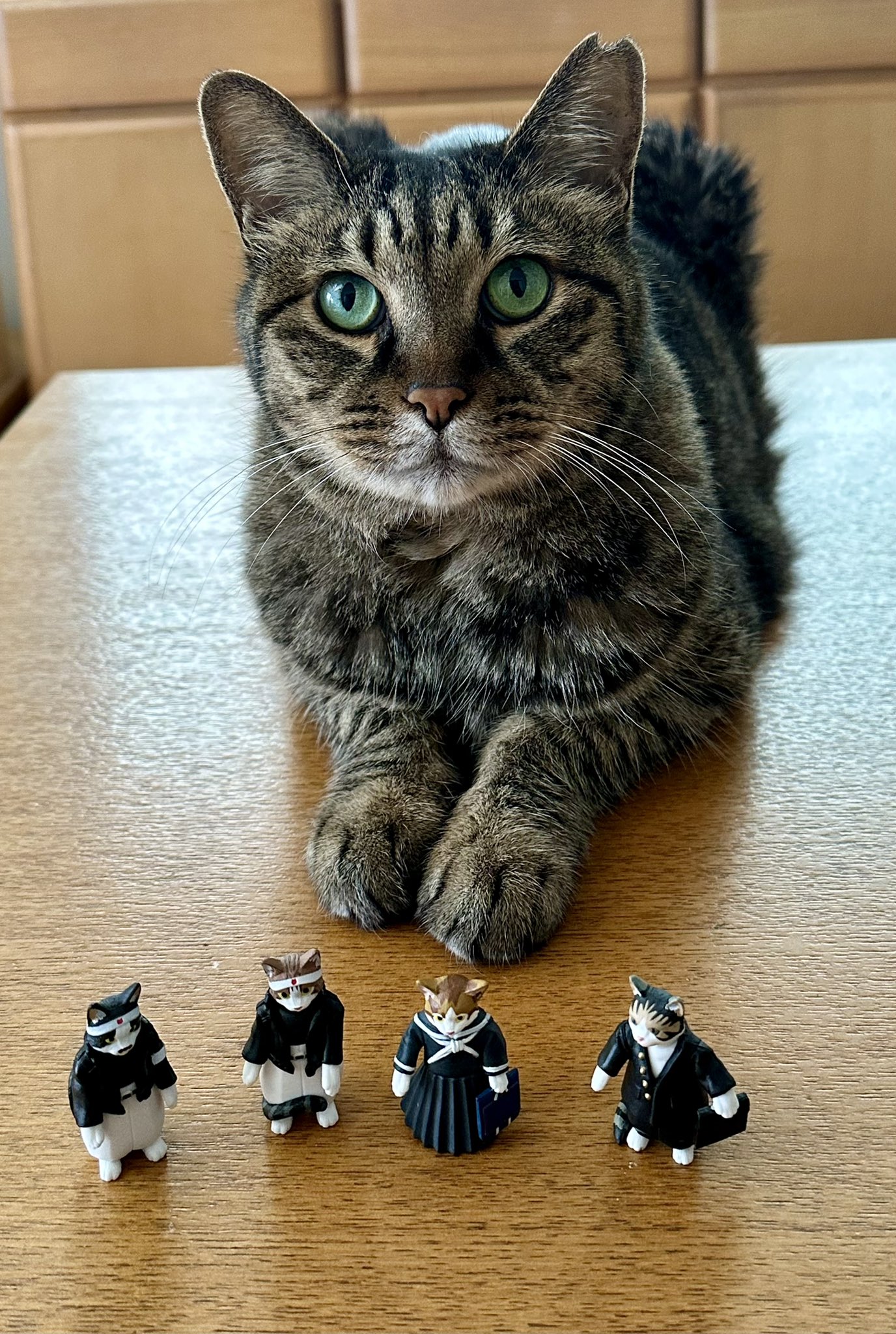 SKIPPY@nao-chan on X: 