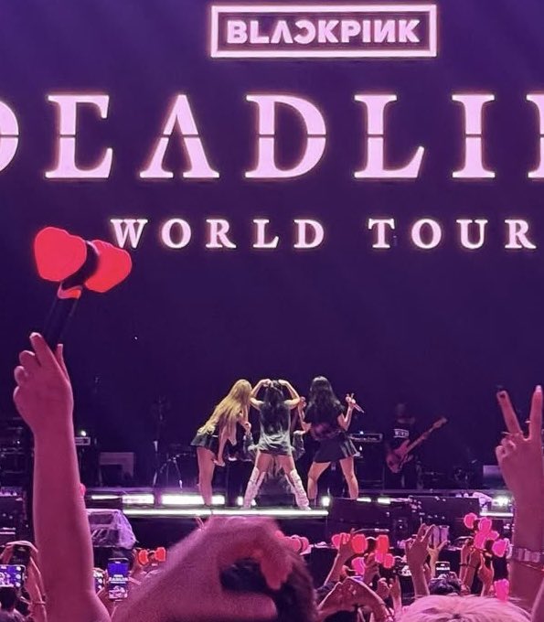 the front                                           the back