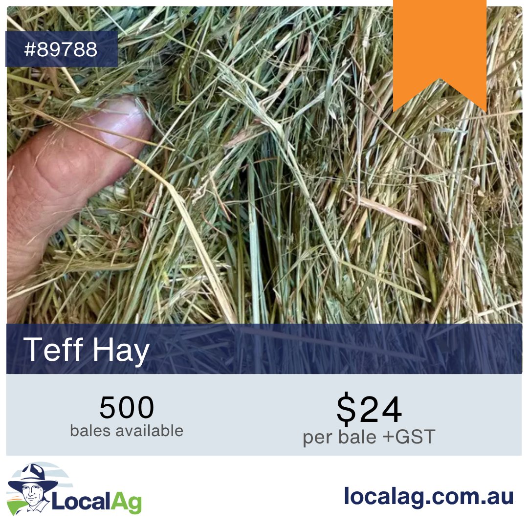 This week on localag.com.au we have a bunch of new listings for you to check out! From mealworm castings and teff hay to white urea and millet hay. Head to the marketplace to browse, buy or list your own items.