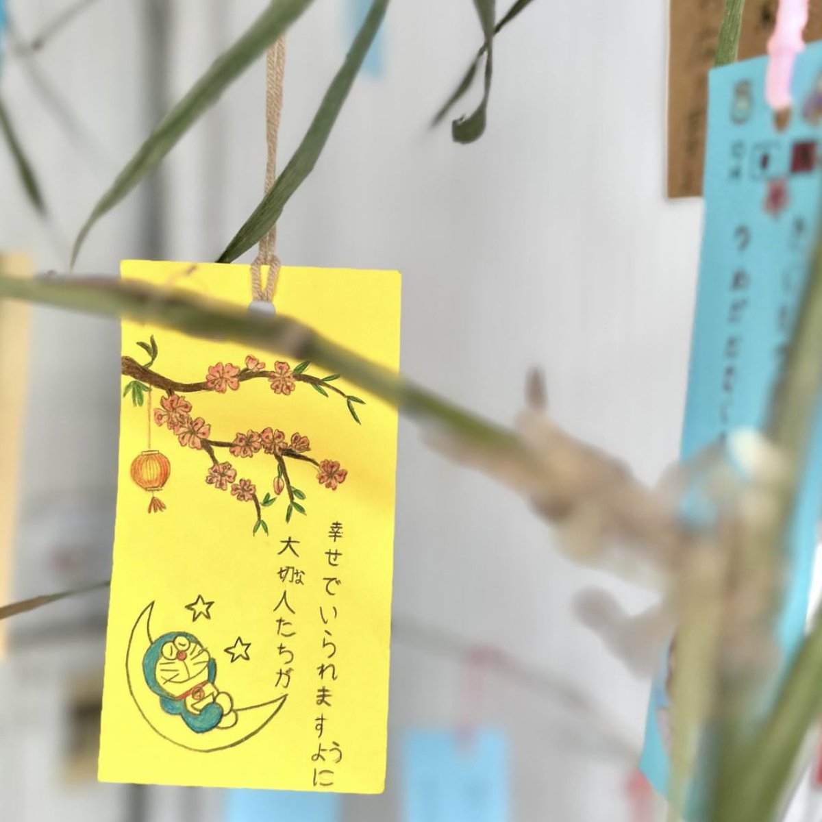 91xxxooo's tweet photo. 🎋すてきなお願い事が叶いますように
癒された☺️ https://t.co/VG4MjsyAqk