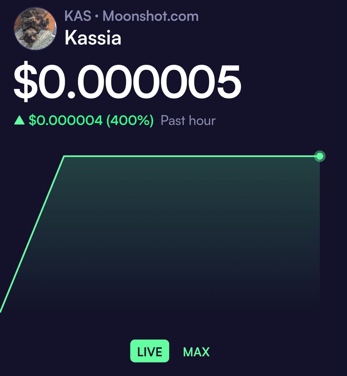 Indie Music Plus tweet media