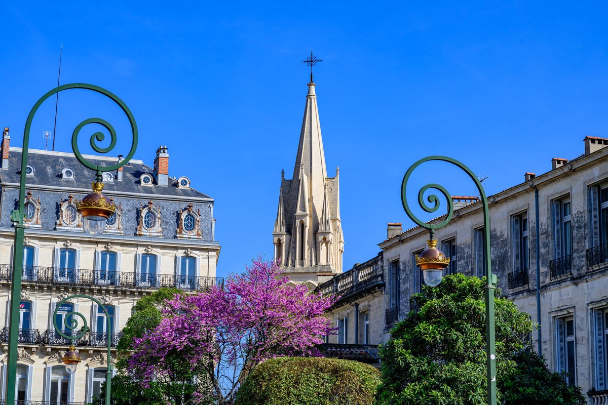 ✨🎶 Nuits de Sainte-Anne : 5 concerts gratuits en plein air !
Rendez-vous les 8, 9 et 10 juillet pour une série de concerts sur la place Sainte-Anne organisés par l’Association de Quartier Nouveau Sainte-Anne.
Gratuit et ouvert à tous 👉 mntp.fr/nuits-sainte-a…