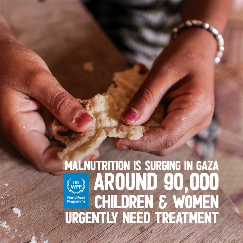 🚨 #Gaza:

Food aid is the only way for people to eat.

<a href="/WFP/">World Food Programme</a> stands ready to scale up and deliver life-saving assistance directly to the most vulnerable families in need.