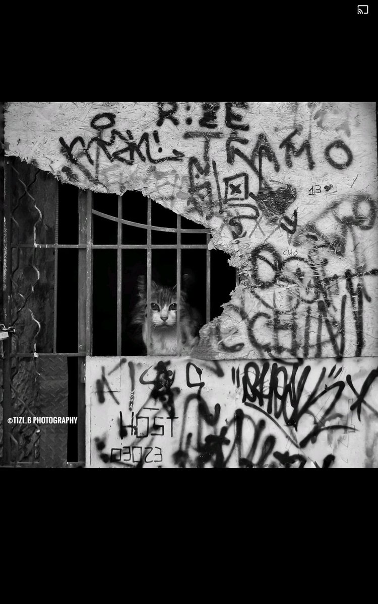 ... Che faccio, lascio ? ... (@lascioche) on Twitter photo 