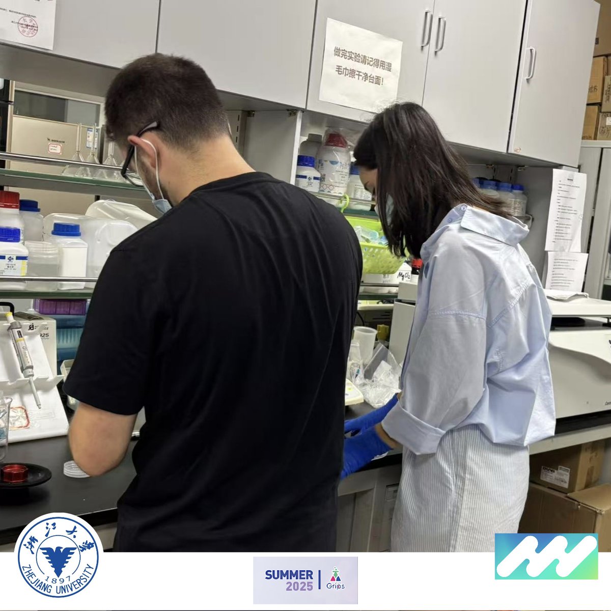 iPlantMicro's tweet image. Our intrepid students André and Joana are working hard in Wang's lab @ZJU_official! Learning and enjoying science and culture 🇵🇹🫰🏻🇨🇳
@itqbnova @greenit_bio4sus