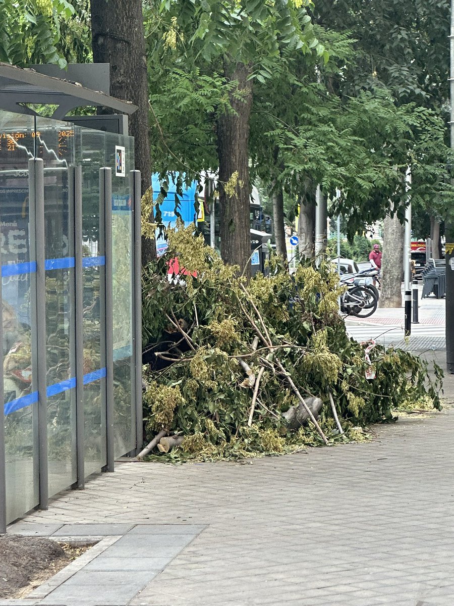 Madrid es una ciudad peligrosa.