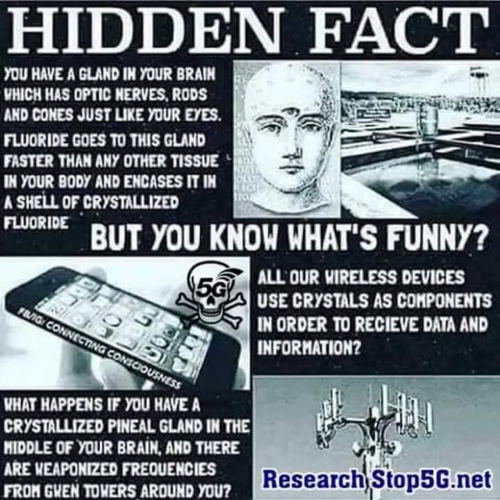 The pineal gland is our inner antenna, built for higher awareness, with eye-like photoreceptors. Fluoride calcifies it into a crystal. 5G and GWEN towers then beam targeted frequencies. The crystallized gland becomes a receiver—hijacking perception itself.