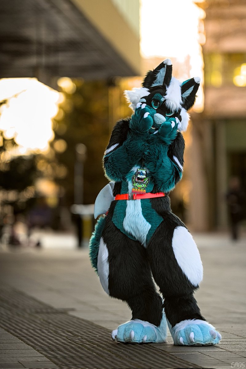 Felt not cute so will not delete later 😛
📸 <a href="/Cmos_ThunderFox/">Cmos ThunderFox</a>