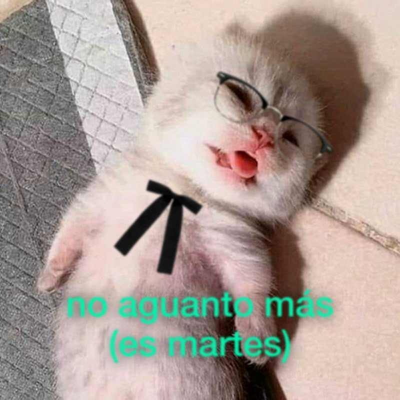 JPuig97's tweet photo. RT @KFC_ES: buenos días https://t.co/bNRHnkuqyh