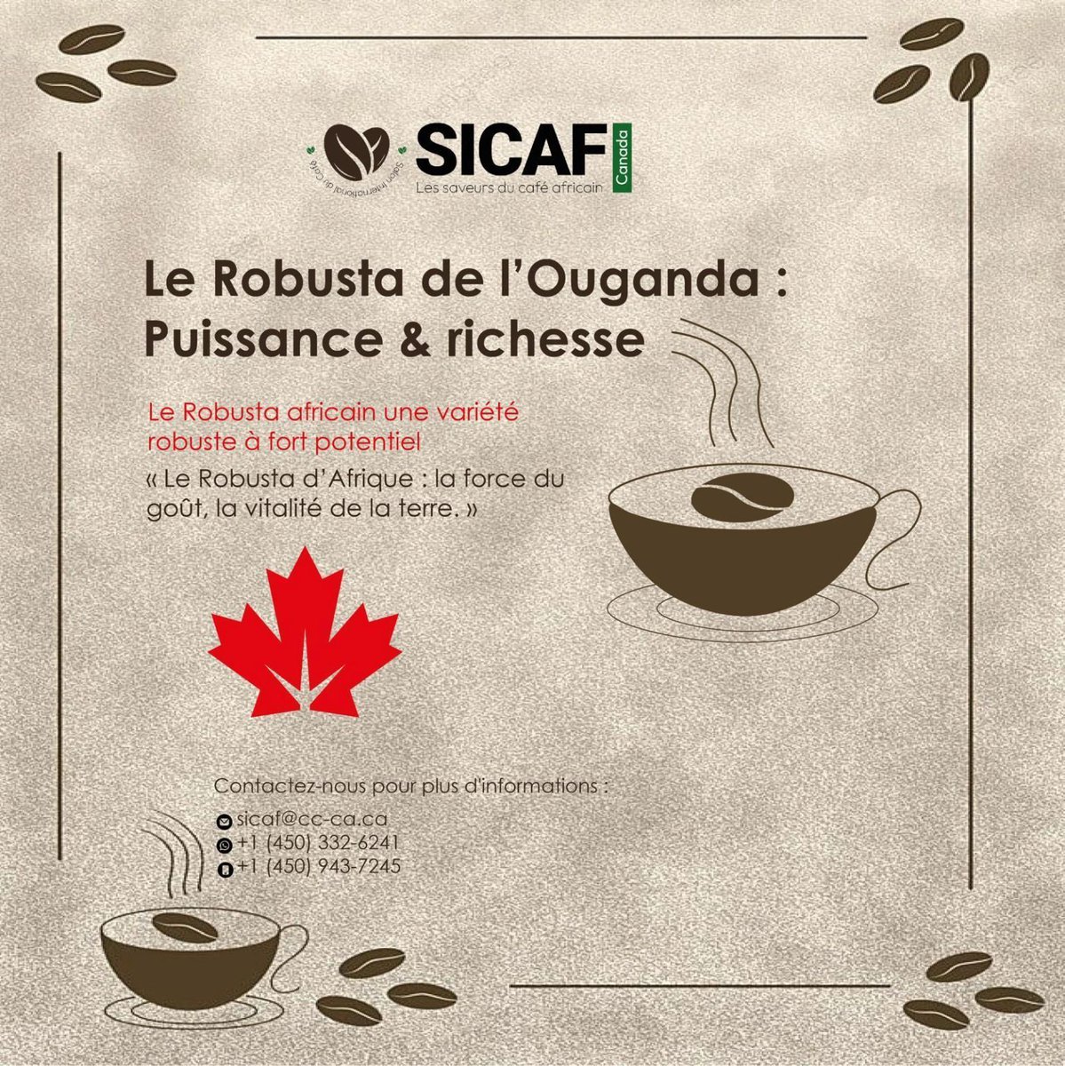TheAfricaBusIx's tweet image. ☕️🇺🇬 Focus Café : Le Robusta d’Ouganda, un trésor à redécouvrir !

Saviez-vous que l’Ouganda est le berceau du café Robusta sauvage ? 🌿 Trop souvent dans l’ombre de l’Arabica...

#SICAF2025 #CaféAfricain #CaféRobusta #Ouganda #ExportAfrique #CaféDeSpécialité