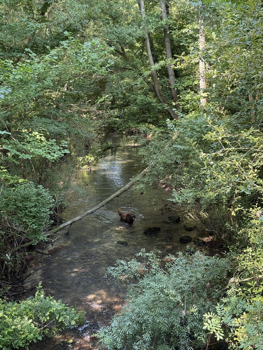 JavierInfanteB's tweet image. Mi nuevo sitio preferido para les escalada en verano. Río (los niños se encargan de la cena), buenas, largas y desplomadas paredes y sombra casi todo el día.