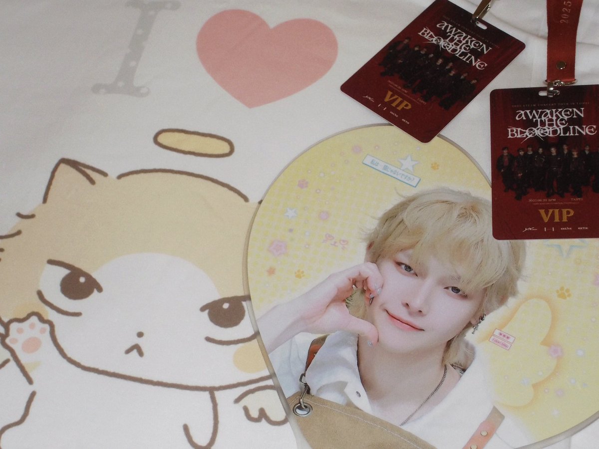 i ♡ 치즈고양이천사🪽