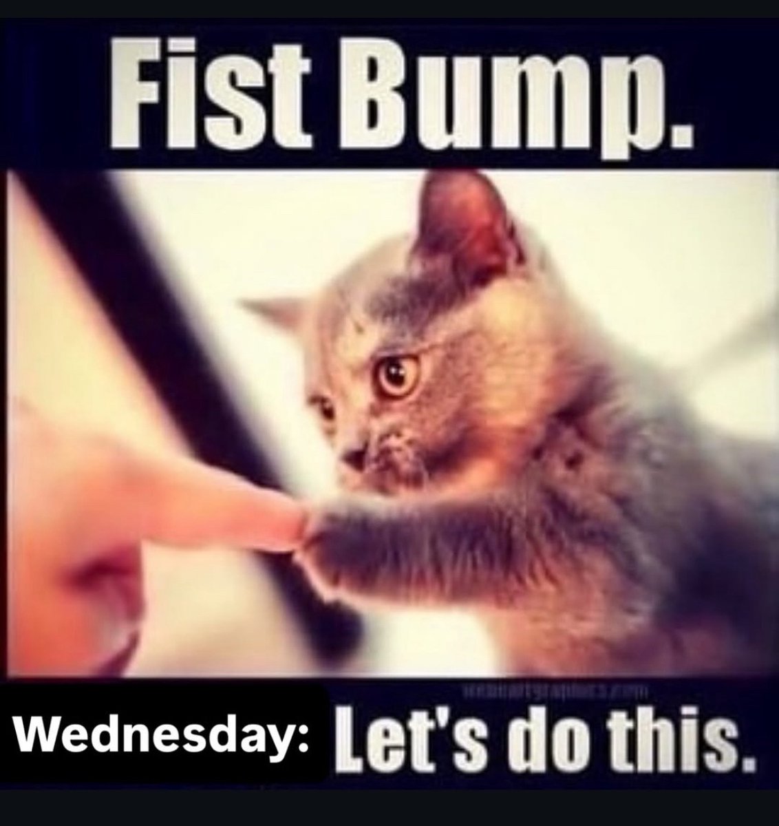 PJ (@peejey1212) on Twitter photo 