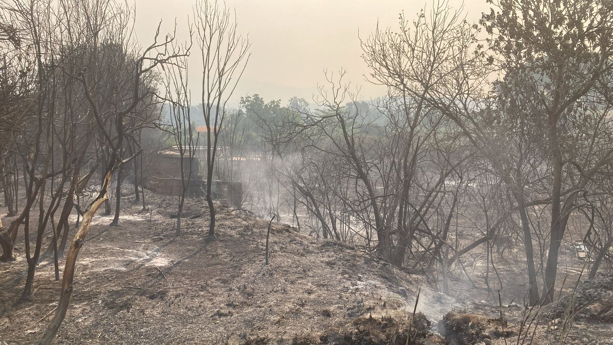 aguaitacat's tweet photo. 🔴 En directe | Cotxes, maquinària agrícola i masos calcinats entre Xerta i Aldover

✍️ Informa @XaviBenigni 
https://t.co/cVbOIH009n https://t.co/QsHBLnne8H